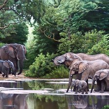 Схема вышивки «№1814531»