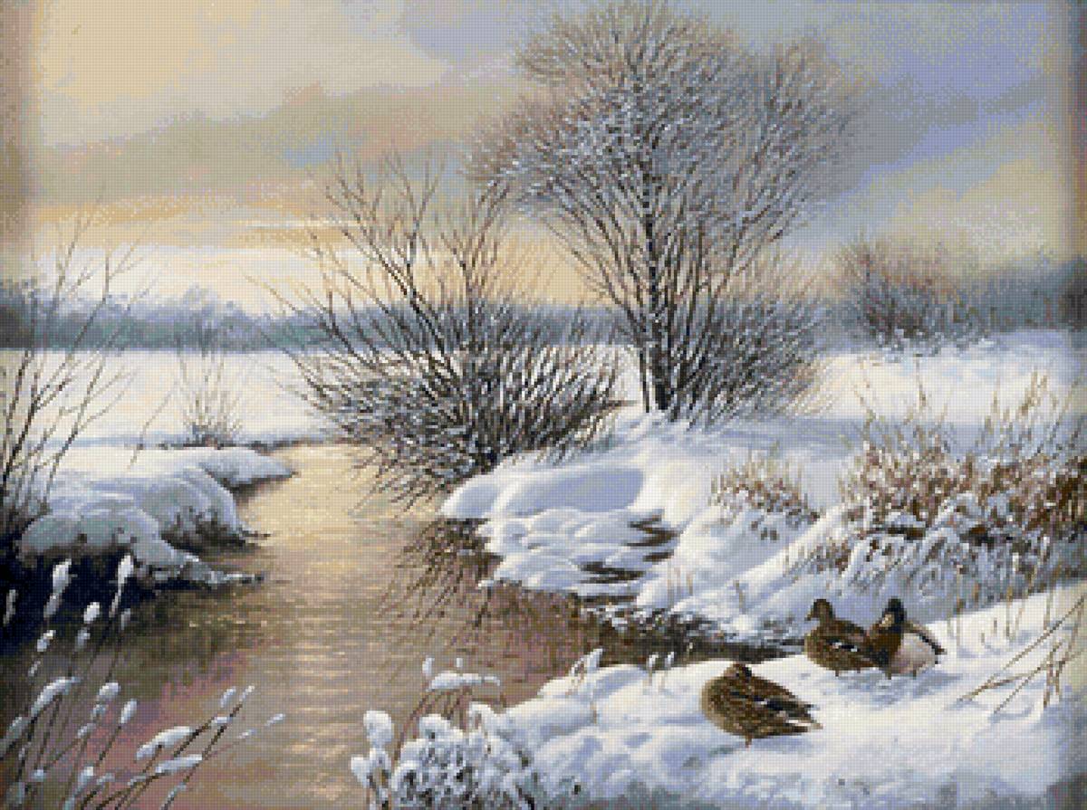 №1814543 - утки, вода, пейзаж зима, природа - предпросмотр