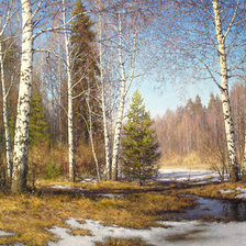 Схема вышивки «№1814551»