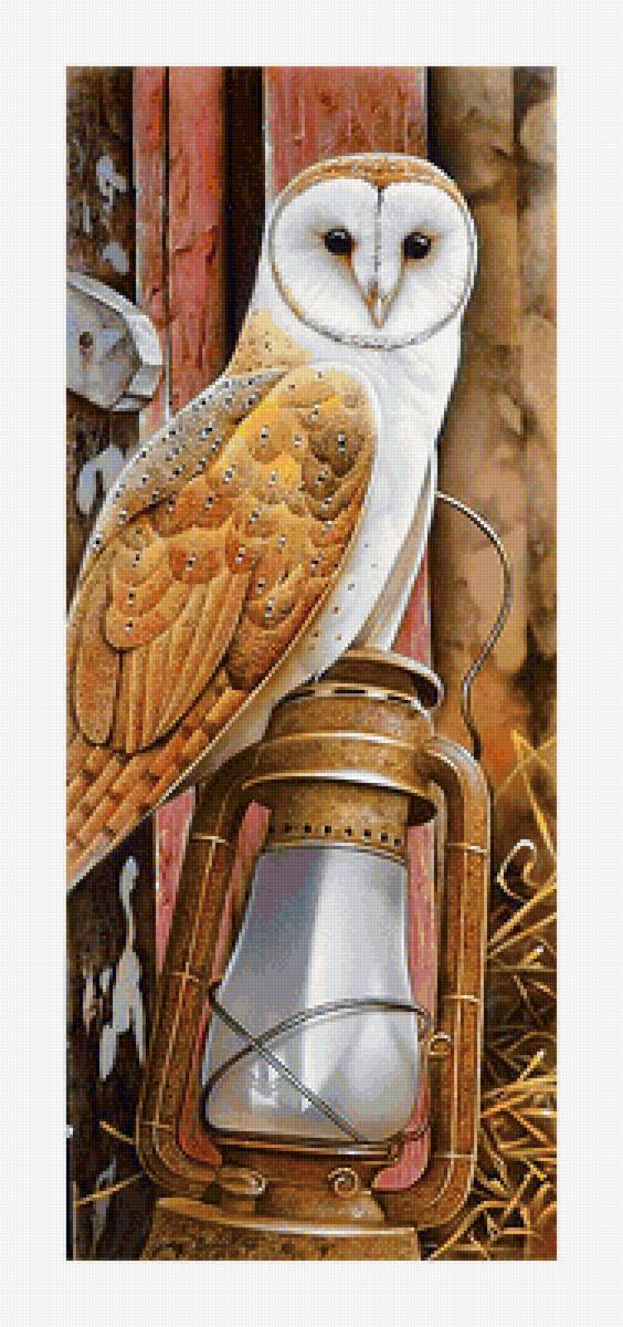 Серия "Совы" - совы, птицы, фауна - предпросмотр