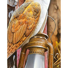 Схема вышивки «Серия "Совы"»