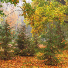 Схема вышивки «осень»