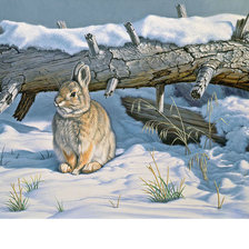 Схема вышивки «Зайчик зимой»