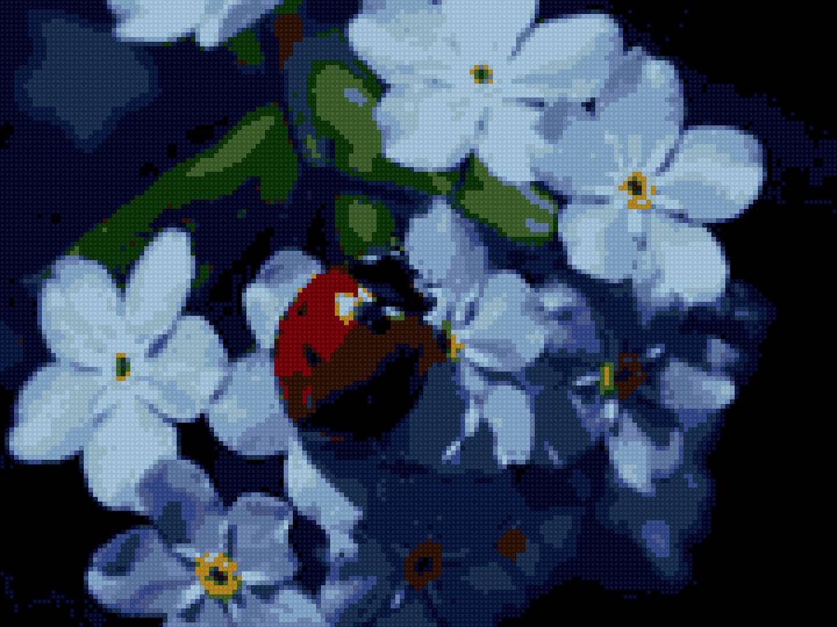 Незабудки - предпросмотр