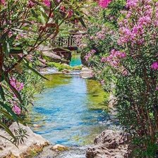 Схема вышивки «ОЛЕАНДРЫ НАД РУЧЬЁМ»