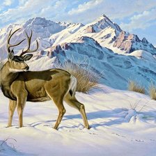 Схема вышивки «Олень»