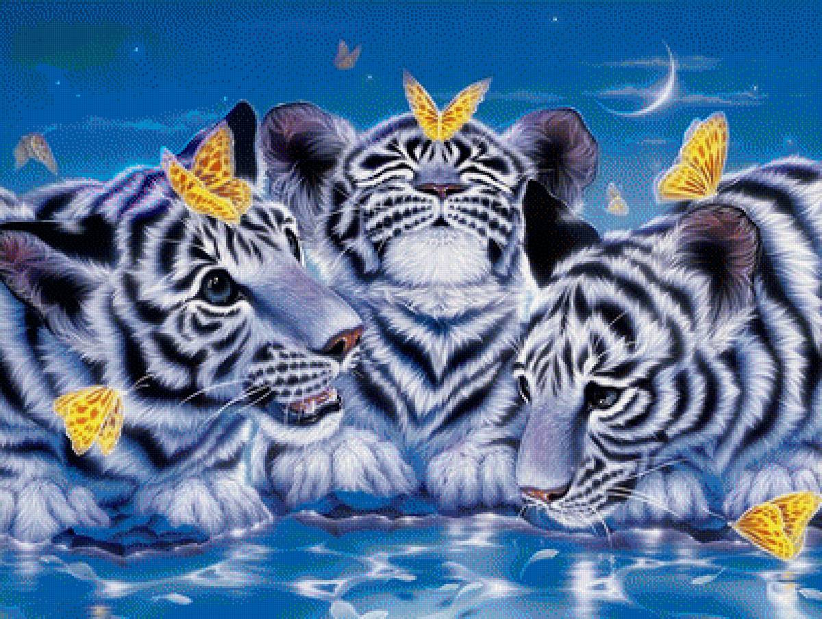 Белые тигры и бабочки - белые тигры, животные, бабочки - предпросмотр