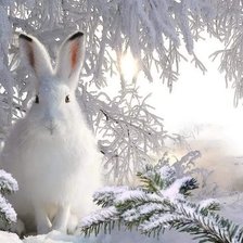 Схема вышивки «Зайчик»