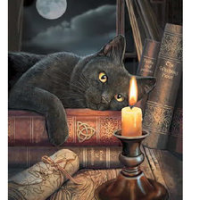 Схема вышивки «колдовской час1»