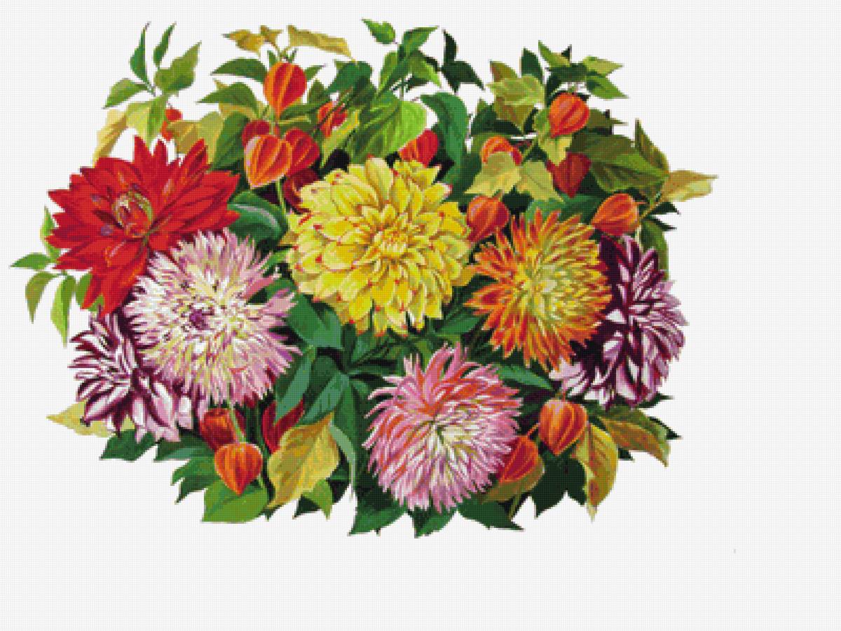 Осенний букет - цветы, астры, физалис, букет - предпросмотр