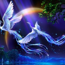 Схема вышивки «Волшебные фениксы»