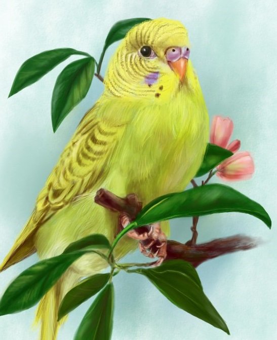 на ветке - птицы - оригинал