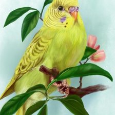 Схема вышивки «на ветке»