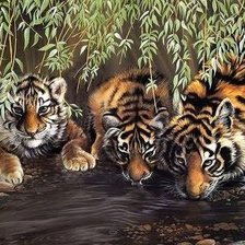 Схема вышивки «водопой»