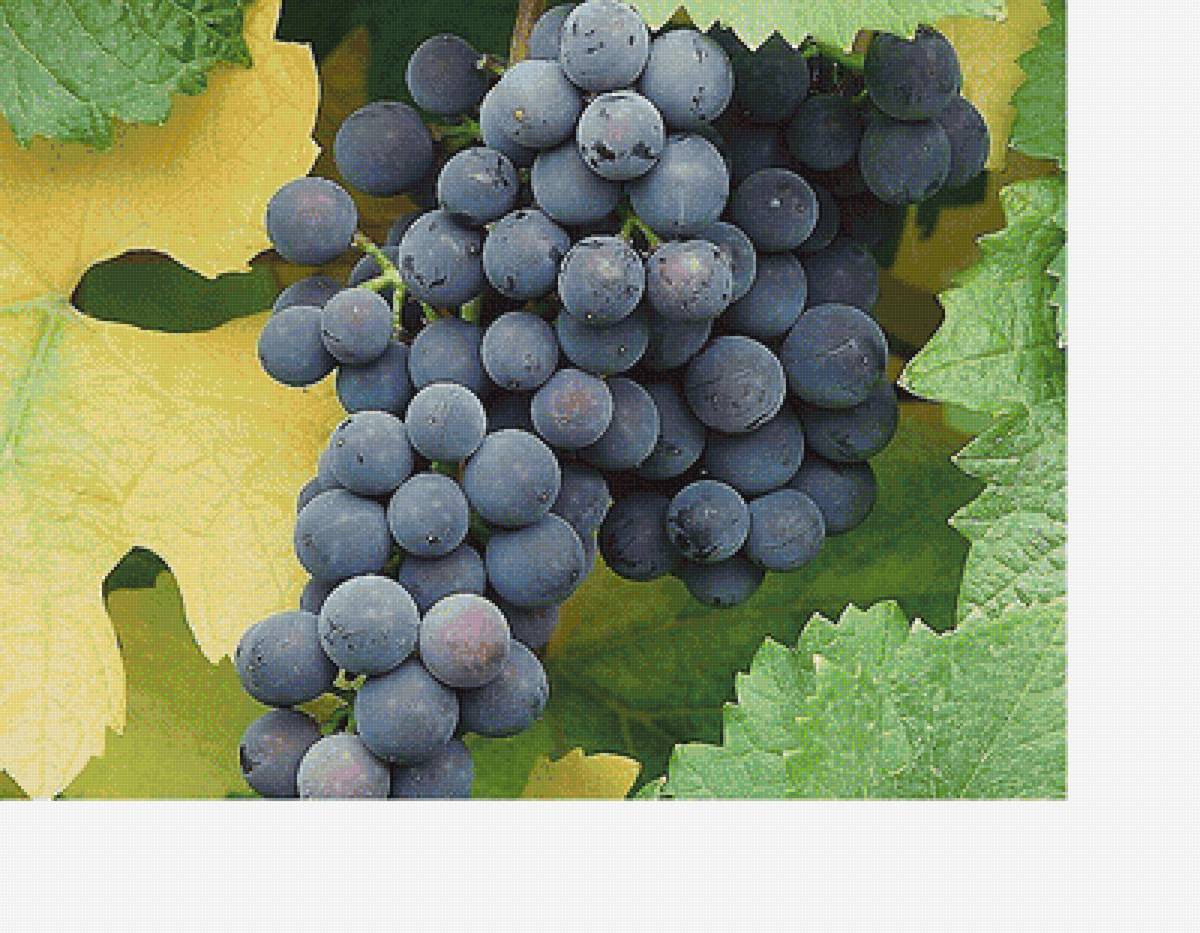 №1817656 - предпросмотр