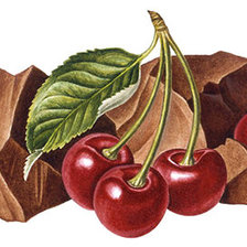 Схема вышивки «Вишня в шоколаде»