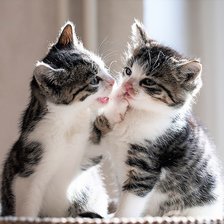 Схема вышивки «разговор»