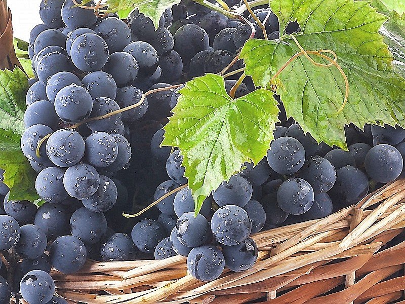 №1818690 - оригинал