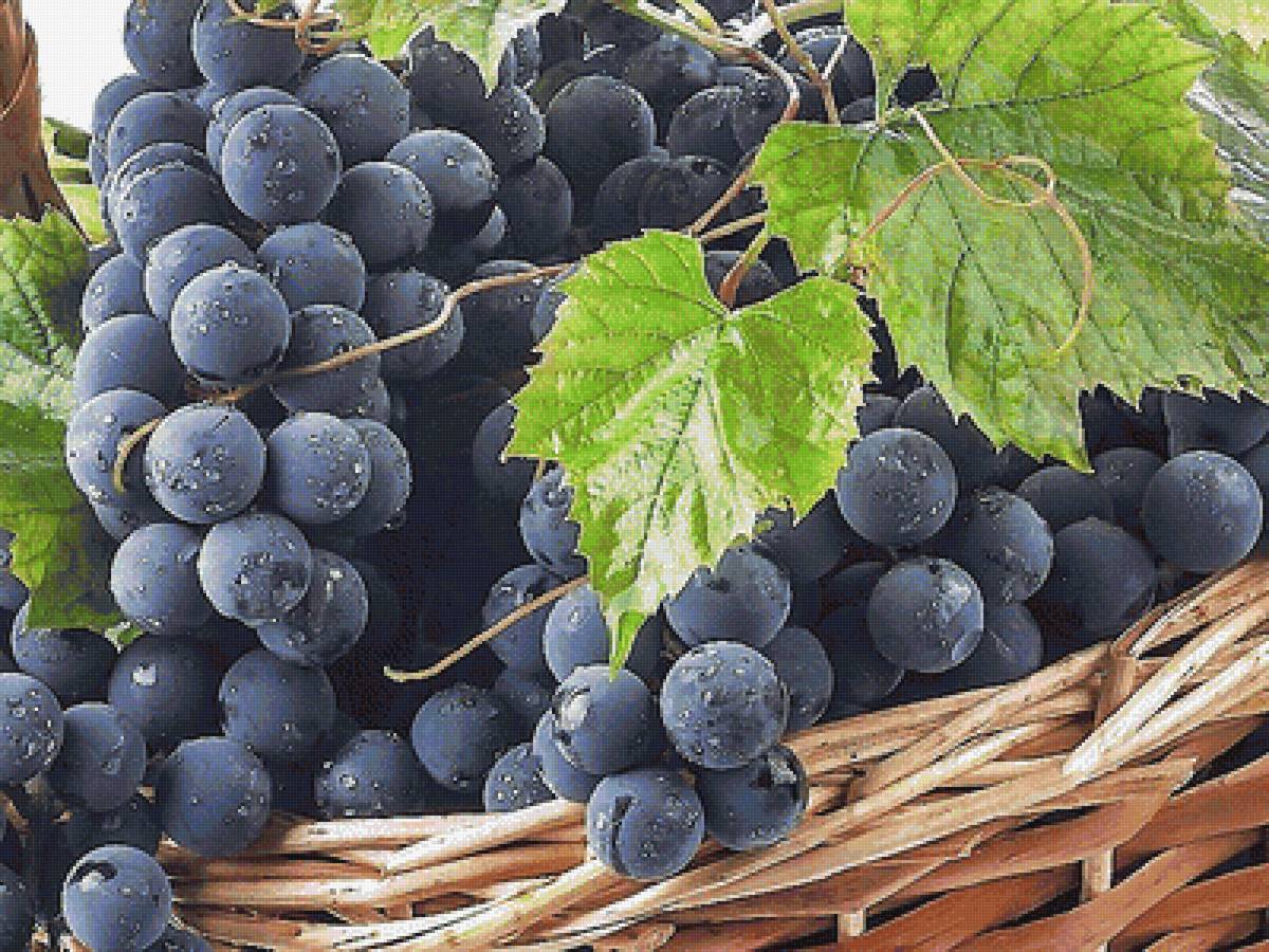 №1818690 - предпросмотр