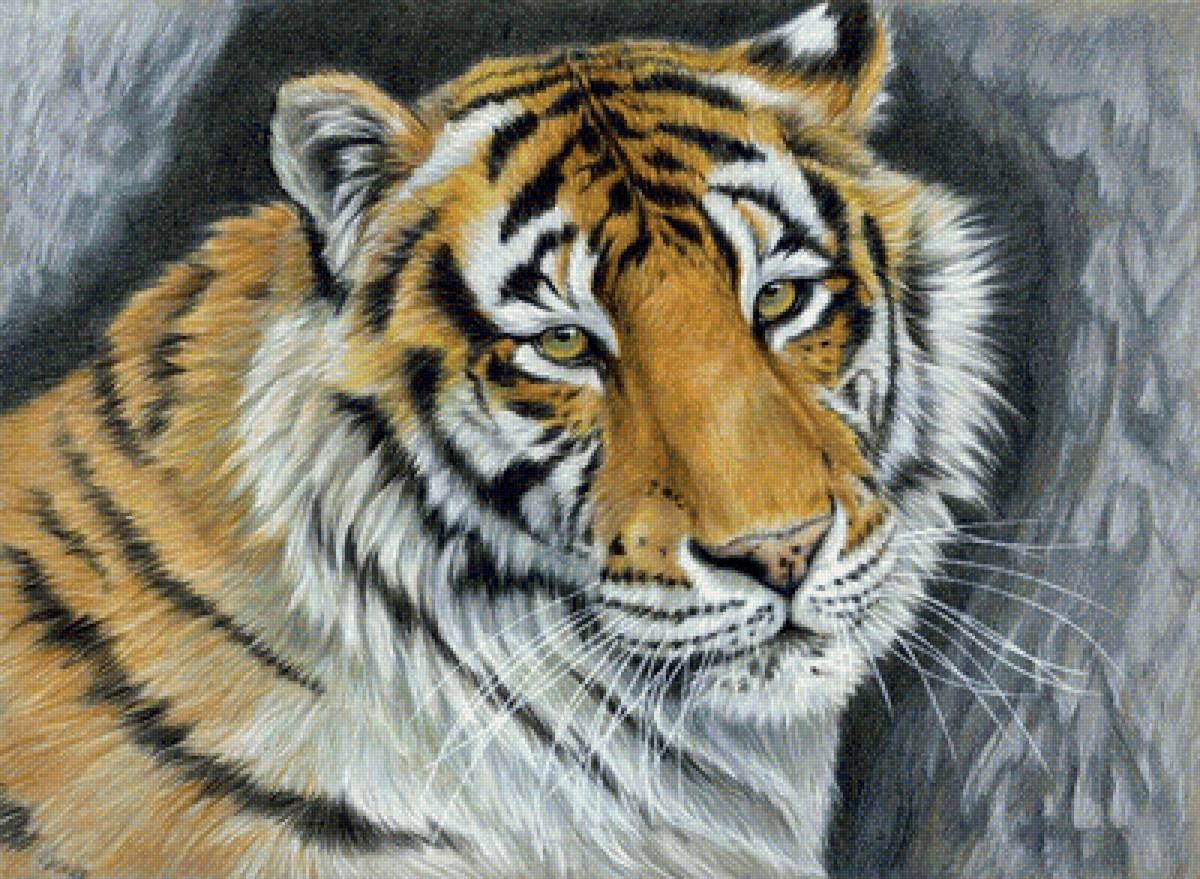 Тигр - звери, животные - предпросмотр