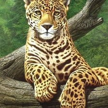 Схема вышивки «№1818741»