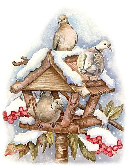 Голуби, птицы, зима, Рождество, Новый год - оригинал