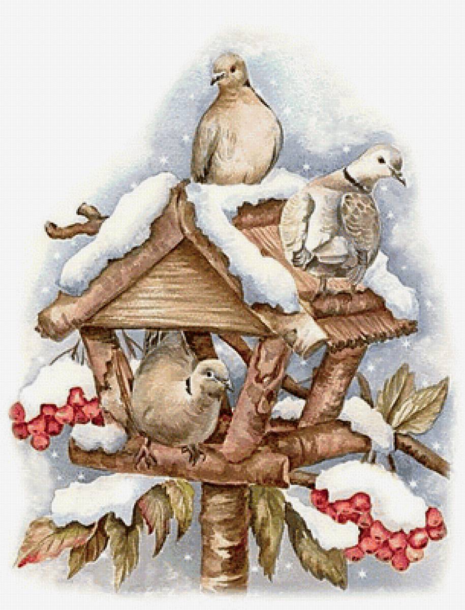 Голуби, птицы, зима, Рождество, Новый год - предпросмотр