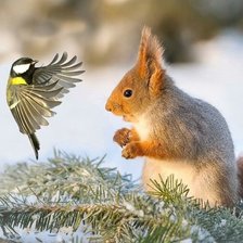 Схема вышивки «Встреча»