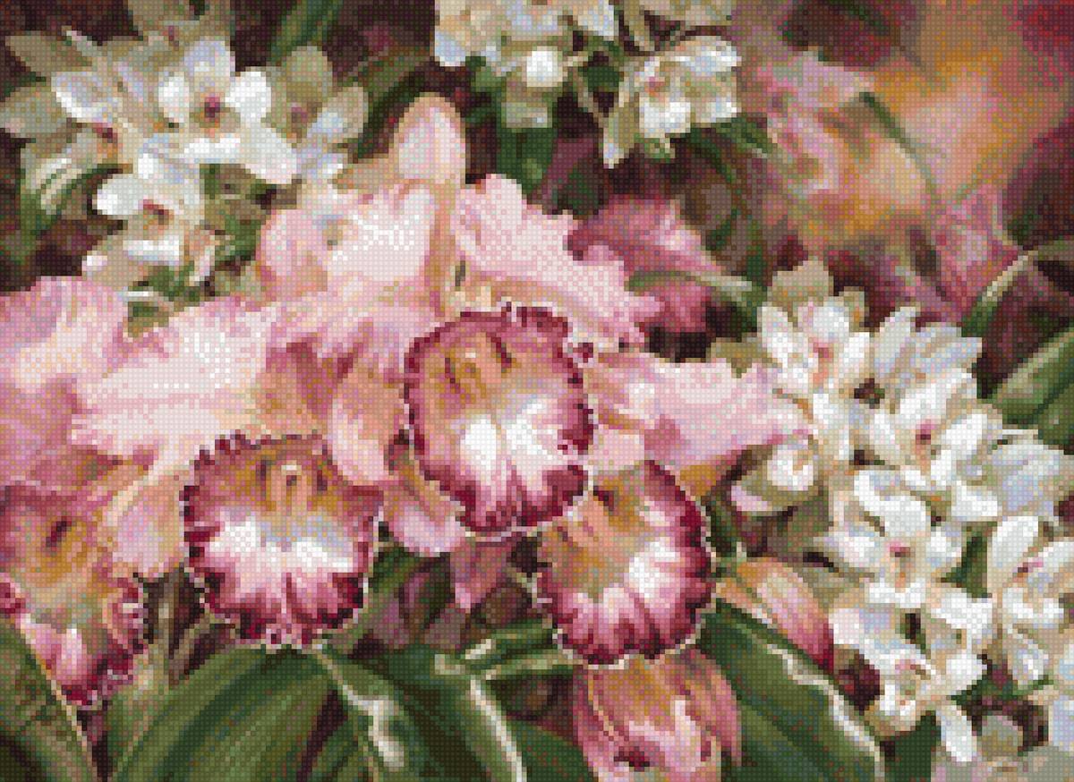 супер орхидеи - цветы - предпросмотр