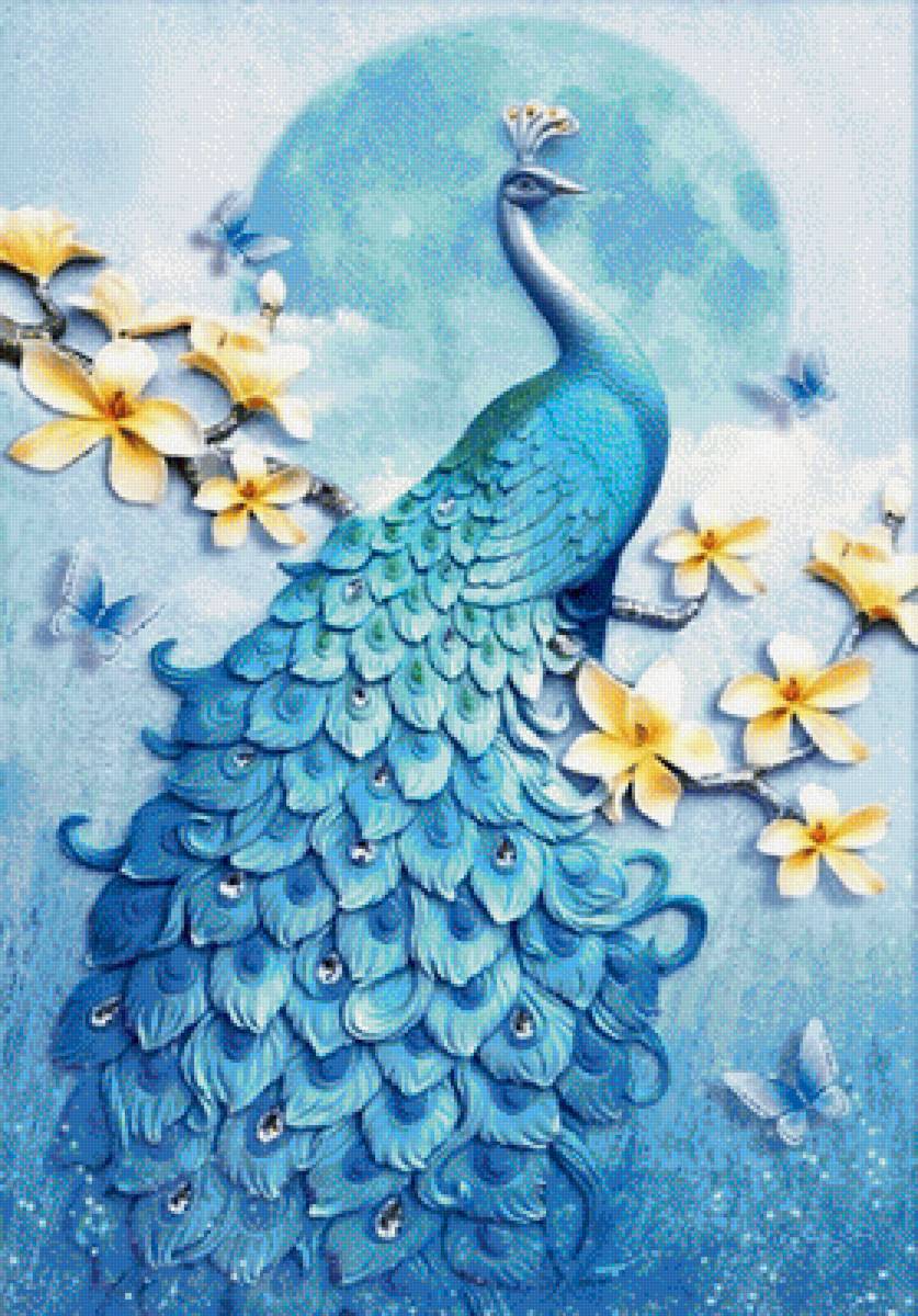 Лазурный павлин - птица, павлин - предпросмотр