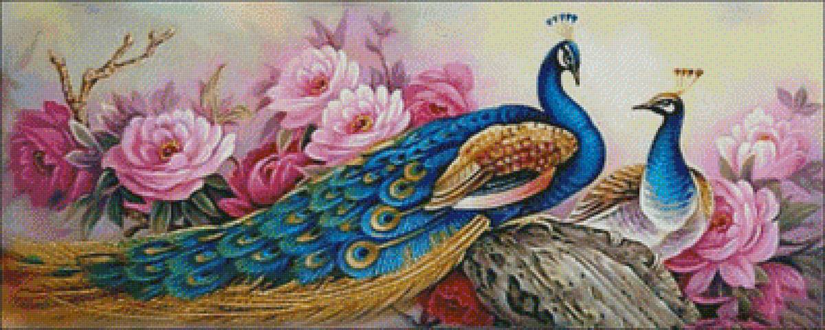 Павлины на фоне цветов - птицы, цветы, павлины - предпросмотр