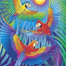 Схема вышивки «попугаи»