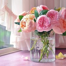 Схема вышивки «№1819947»