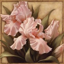 Схема вышивки «подушка ирисы»