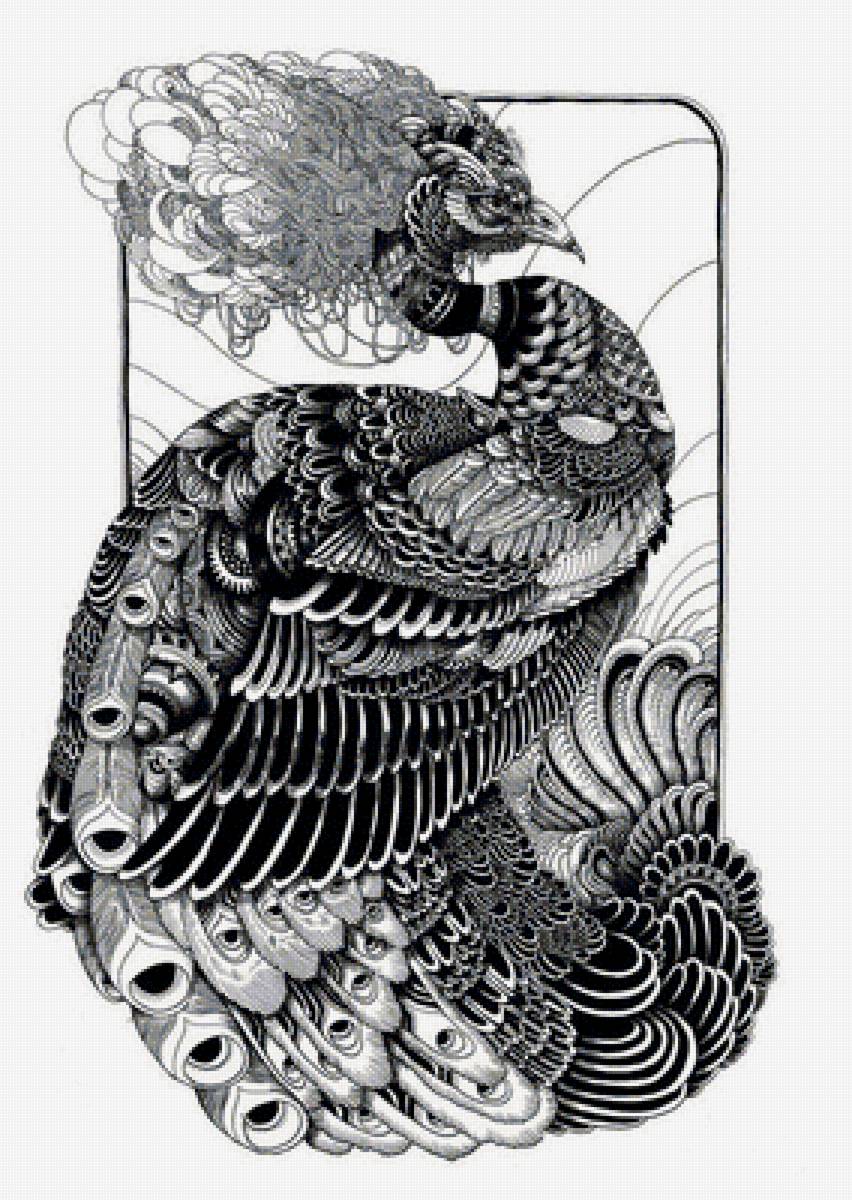 павлин - предпросмотр