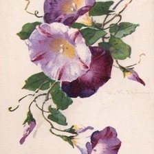 Схема вышивки «В»