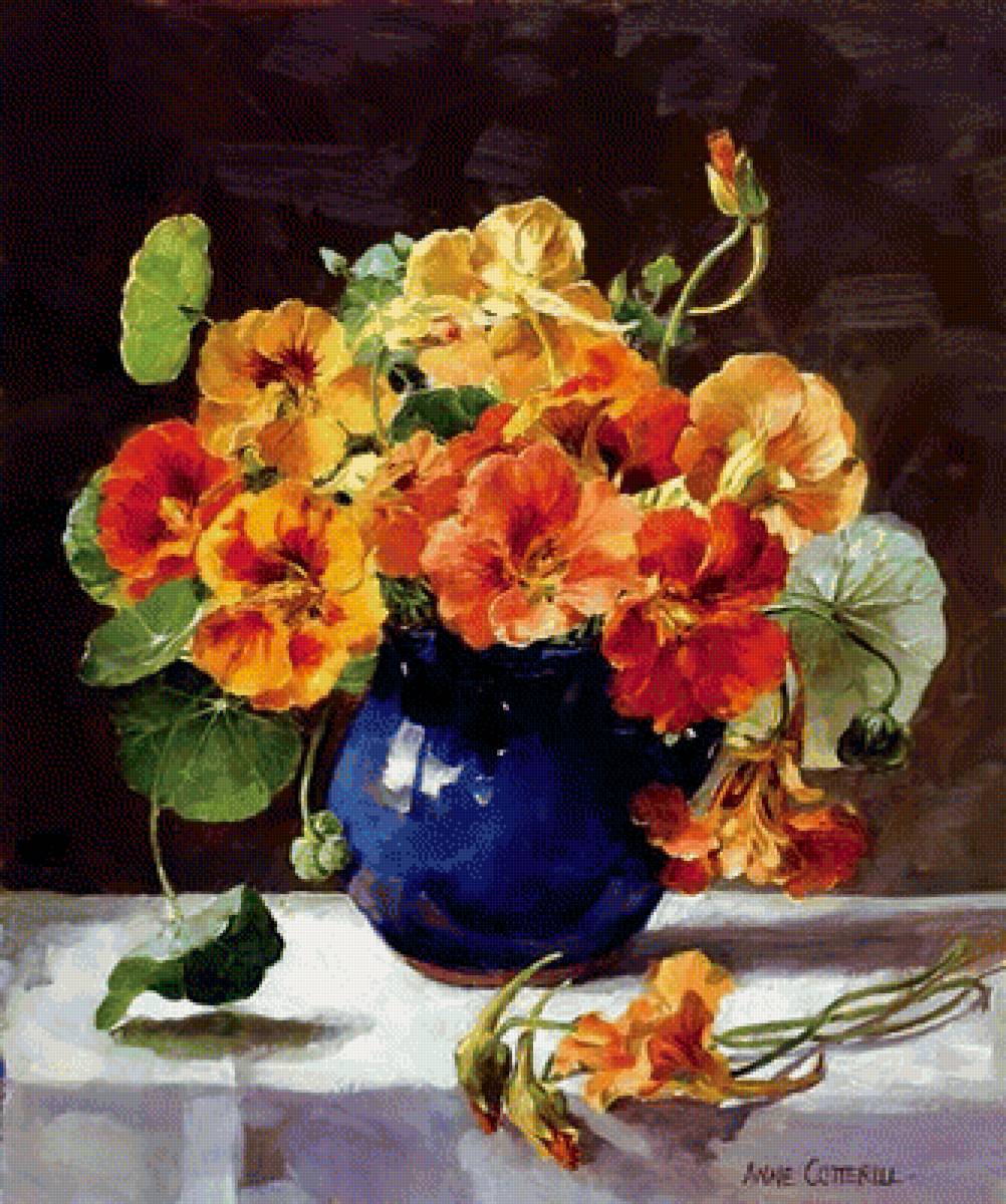 Настурции - предпросмотр