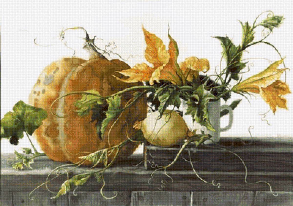 ТЫКВА - тыква - предпросмотр