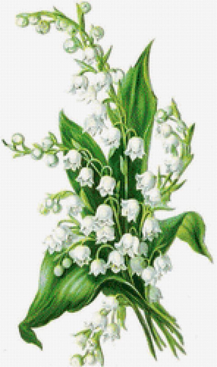 ландыши - весна, цветы, ландыши - предпросмотр