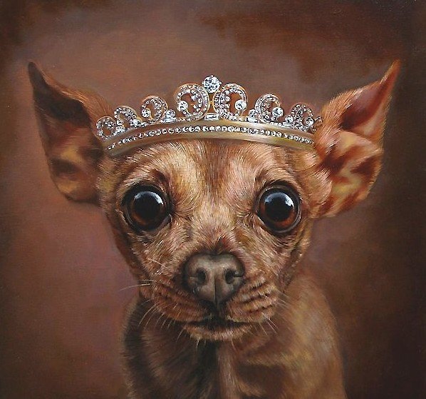 собака - мир животных - оригинал