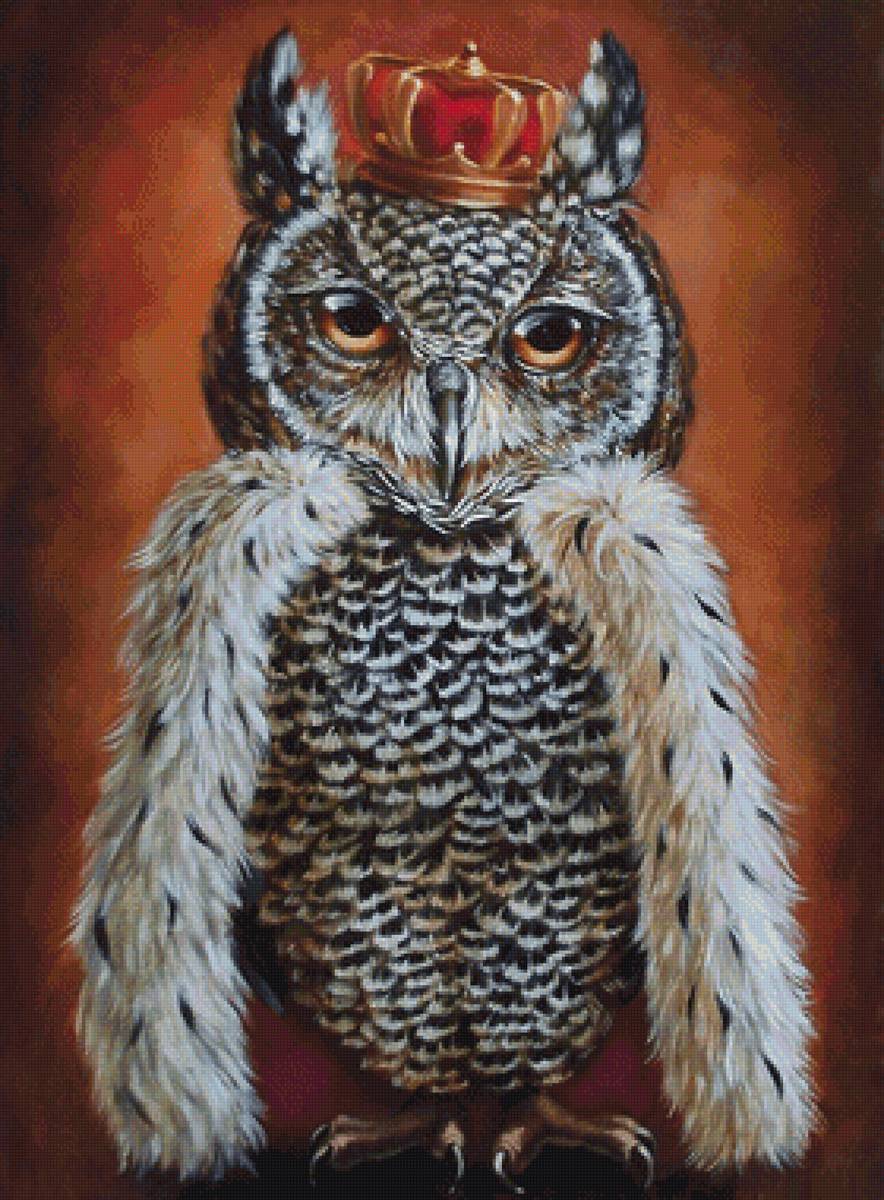 сова - мир животных - предпросмотр