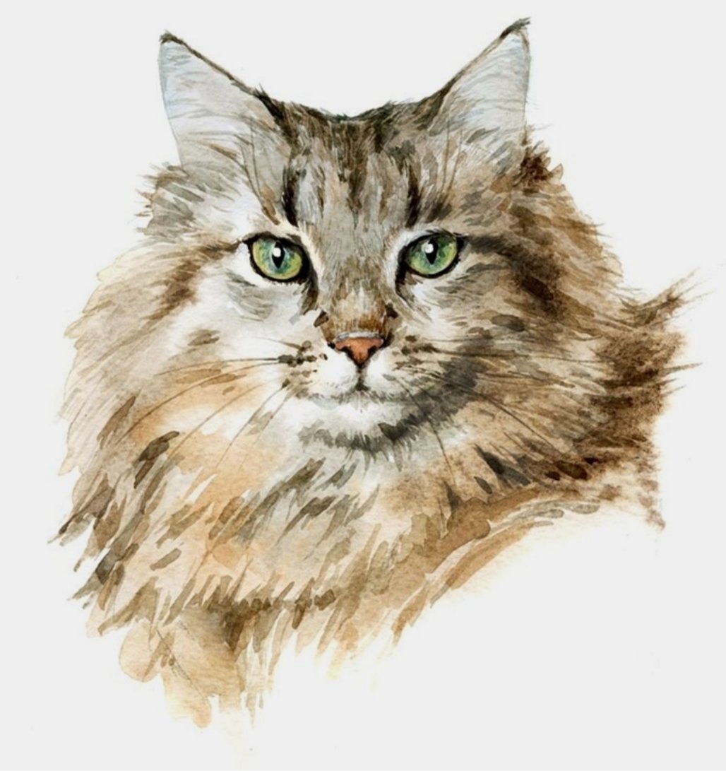 Котофей - животные, акварель - оригинал
