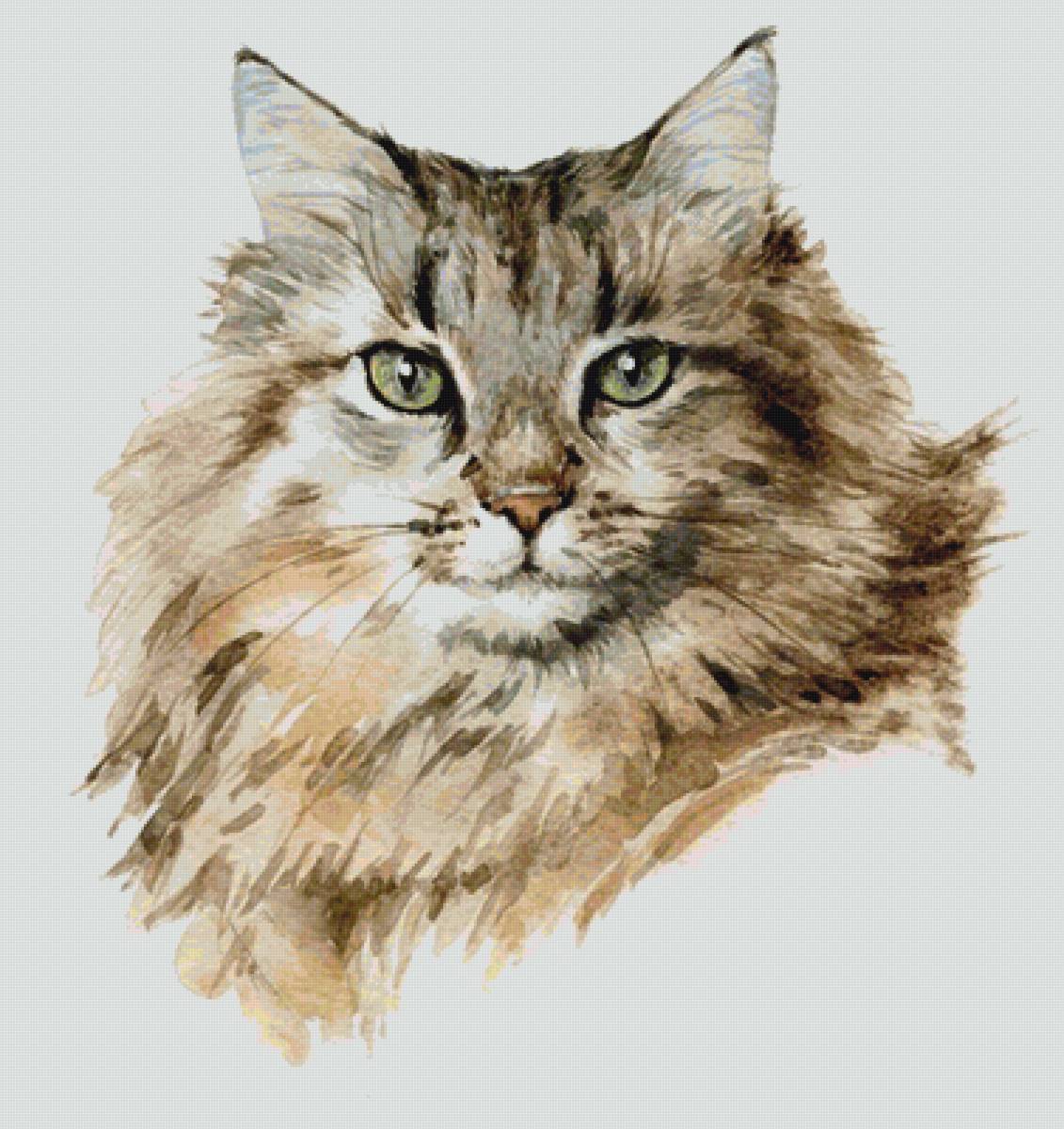 Котофей - акварель, животные - предпросмотр