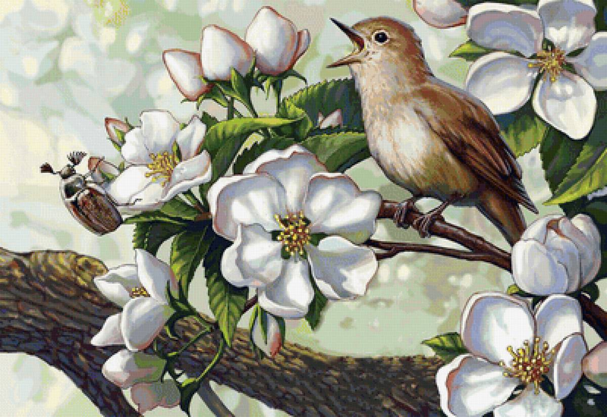 Серия "Птицы" - птицы, фауна - предпросмотр