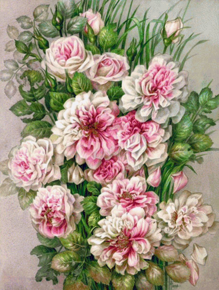 РОЗЫ - розы - предпросмотр