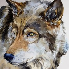 Схема вышивки «Волк»