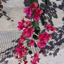 Схема вышивки «№1822416»