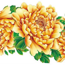 Схема вышивки «Пионы»