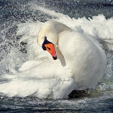 Схема вышивки «БЕЛЫЙ ЛЕБЕДЬ»