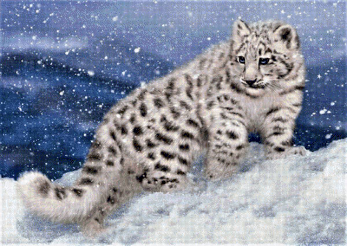 БОЛЬШАЯ КОШКА - большая кошка, дикие животные, природа - предпросмотр